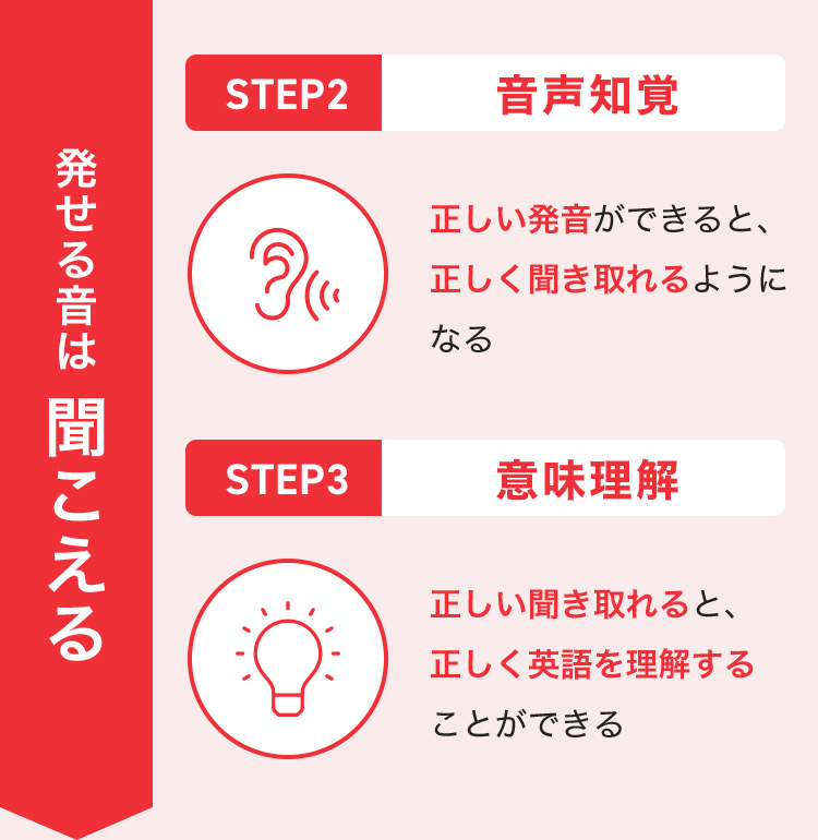 発せる音は聞こえる STEP2 音声知覚 正しい発音ができると、正しく聞き取れるようになる STEP3 意味理解 正しい聞き取れると、正しく英語を理解することができる